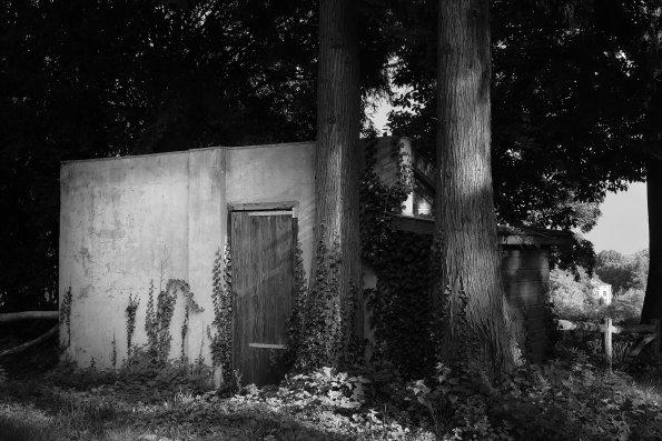 Cabin In The Woods