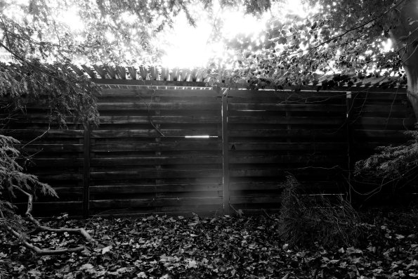 Keijenberg-18
